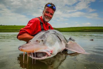 Pescuit la sturioni